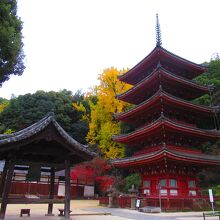 国宝の「五重塔」