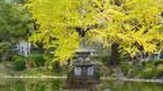 都心の公園とは思えない光景でした