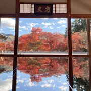 紅葉の床もみじ