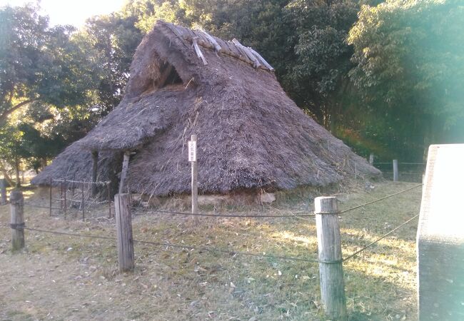 竹取公園