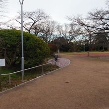 松ヶ岡公園