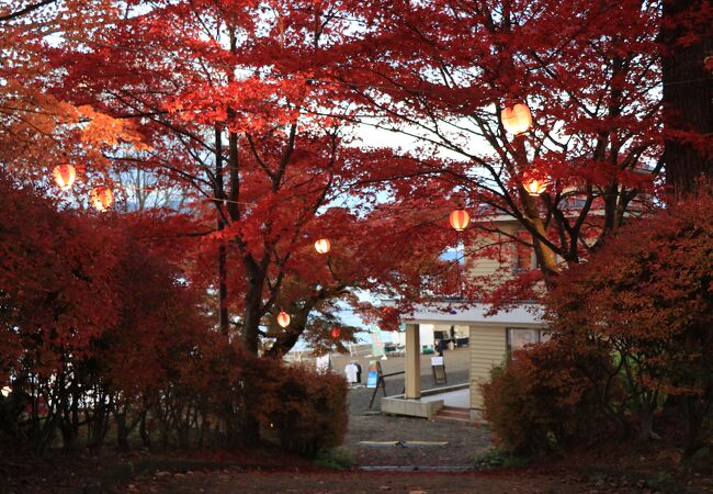 夕焼けの渚 紅葉まつり