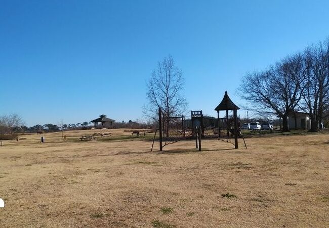 沼沿いに設けられた水辺の自然に親しめる公園