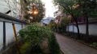 道沿いは緑がいっぱい