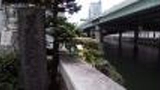 水質は結構きれいなのに驚かされます