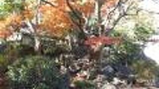 築山の紅葉がとても綺麗だった