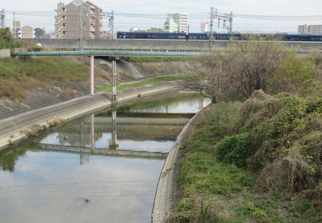 ロマンある普通の川！