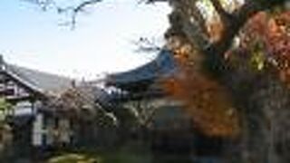 植栽が綺麗に手入れされた静かな境内