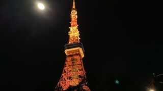 大好き！東京タワー！！