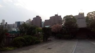 境内の庭は手入れされている