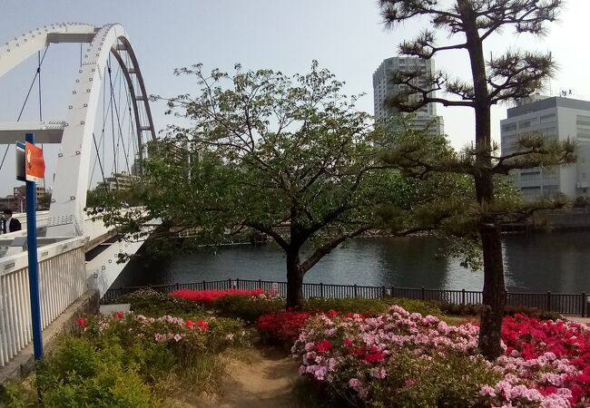 ツツジが満開で、この公園のシンボル的な美しい橋ととても良く調和