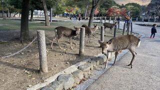 紅葉がキレイ