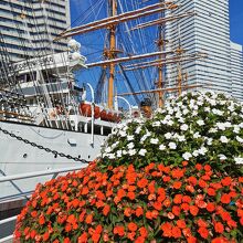 日本丸メモリアルパーク