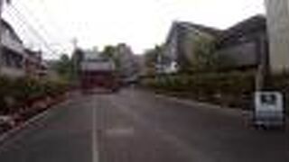 ツツジがたくさん咲いていました