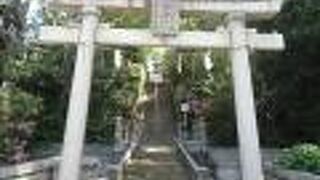 東京っぽくない社前の景色が素敵