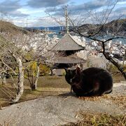 千光寺下の三重塔から艮神社にかけての細い坂道は猫にまつわるものだらけの楽しい小路