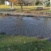 鴨々川水遊び場