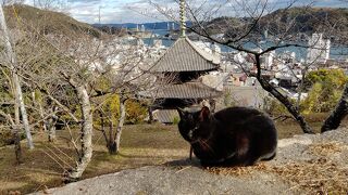 千光寺下の三重塔から艮神社にかけての細い坂道は猫にまつわるものだらけの楽しい小路