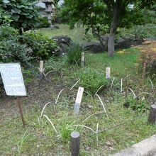 公園内の一角には・・・・