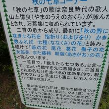 ｢秋の七草｣コーナーのバーブガーデンが有りました