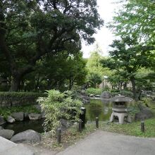池と日本庭園の区画も有ります
