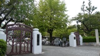 ｢よこあみ｣と読みます！相撲とは関係有りませんよ~