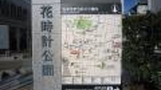 花時計があります