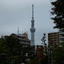 ｢ここから東京スカイツリーが見えます！｣と看板が～