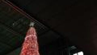 エントランス前のイルミネーションツリーが素敵     