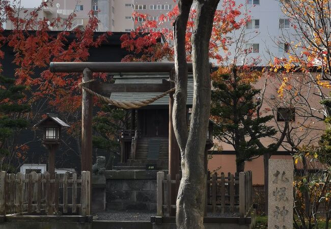札幌神社 クチコミ アクセス 営業時間 札幌 フォートラベル