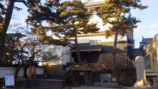 徳川家康が生まれた城