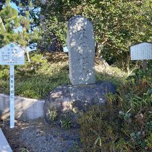 松の木の下には「末乃松山」の碑と、松尾芭蕉も訪れた旨の看板も
