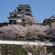 綺麗にリノベーションされたお城と桜を堪能