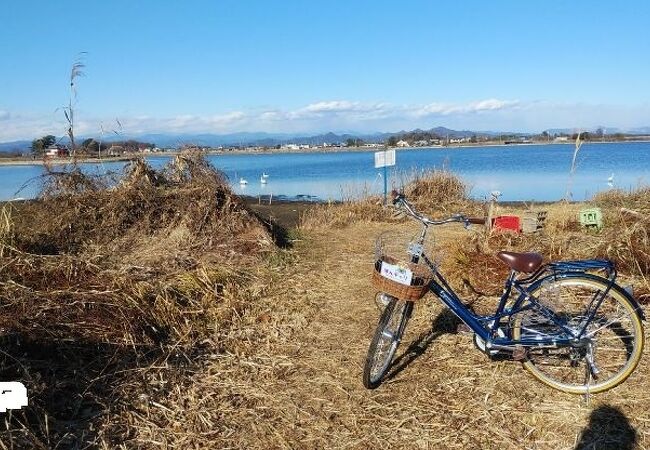 館林市貸自転車 (ポンチャリ)