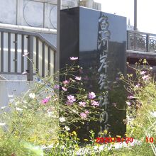 少し拡大すると