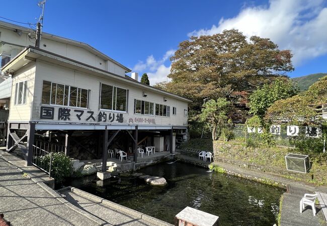 はこね宮城野国際ます釣場