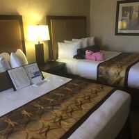 この部屋にしてはお得でした