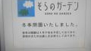 もうすぐお別れです…。