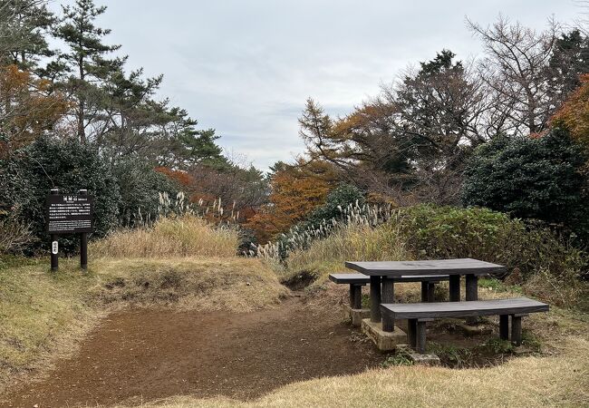 宮ノ下や大平台の背後にそびえている山