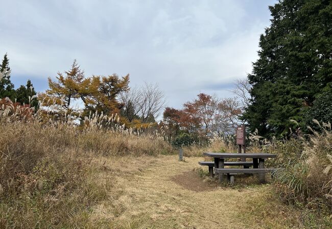 鷹巣山の標識は見当たらなかった