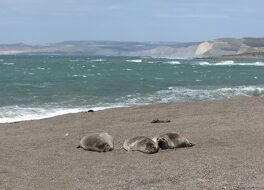 エスコンディダ島海岸