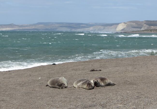 エスコンディダ島海岸