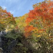 神奈川県下で最大級の規模