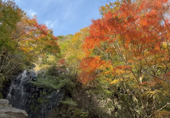 神奈川県下で最大級の規模