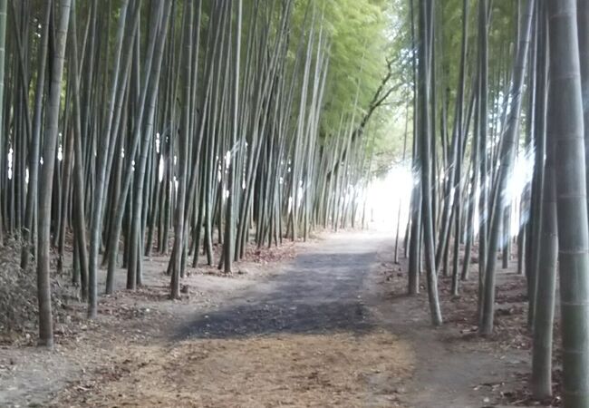 今渡の渡し場跡