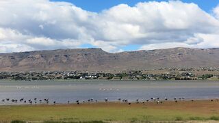 カラファテの町の眼の前に広がる水辺。野生のフラミンゴの群れが見られます