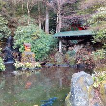 芦ノ湖のけけら木