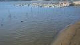 ミニ鉄道も楽しめます