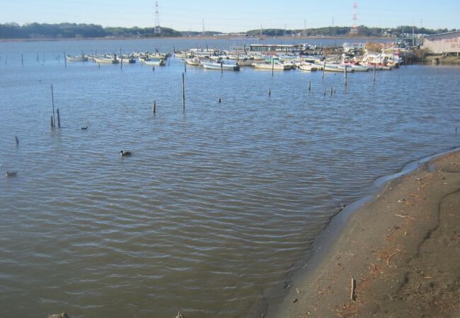 我孫子のおすすめ観光スポット クチコミ人気ランキングtop フォートラベル 千葉県