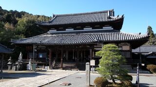 広くて見ごたえ十分の立派な寺院